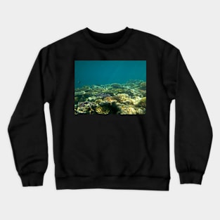 Under the Sea Crewneck Sweatshirt